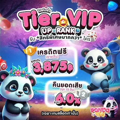 panda456 promotion3